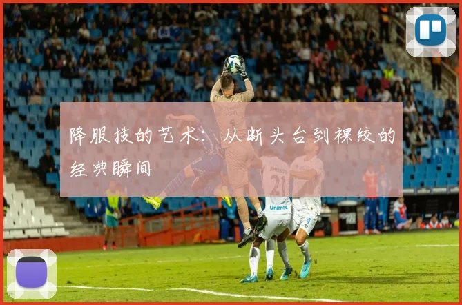 降服技的艺术：从断头台到裸绞的经典瞬间