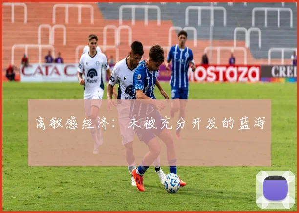 高敏感经济：未被充分开发的蓝海