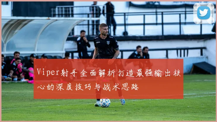 Viper射手全面解析打造最强输出核心的深度技巧与战术思路