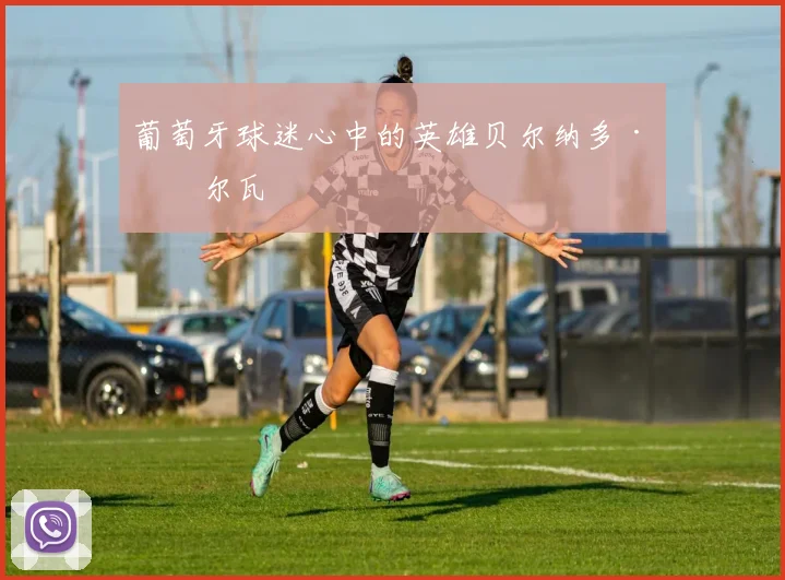 葡萄牙球迷心中的英雄贝尔纳多·席尔瓦