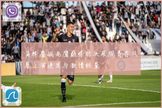 黄蜂鏖战老鹰巅峰对决展现青春风暴上演速度与激情较量