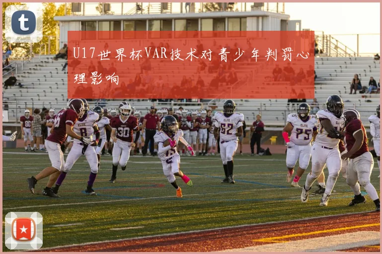 U17世界杯VAR技术对青少年判罚心理影响