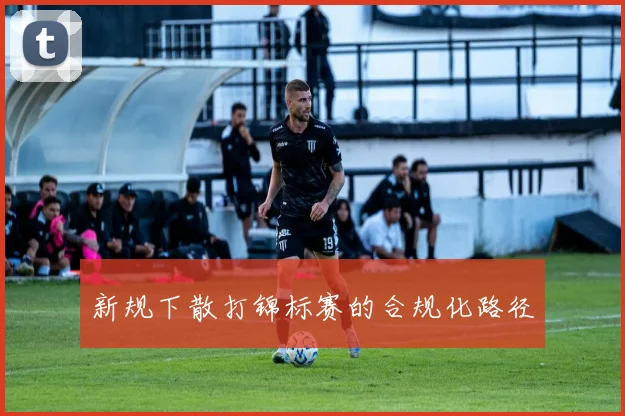 新规下散打锦标赛的合规化路径